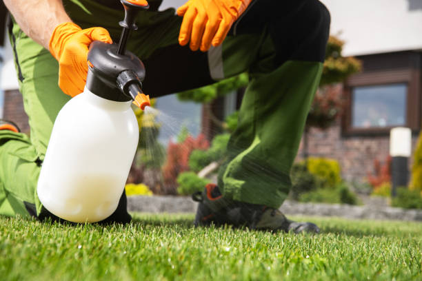 Wasp Removal Services in New Lisbon, WI