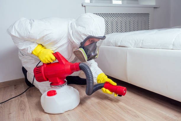 Flea Control Services in New Lisbon, WI
