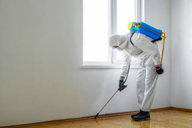 Reliable New Lisbon, WI Pest Control Solutions