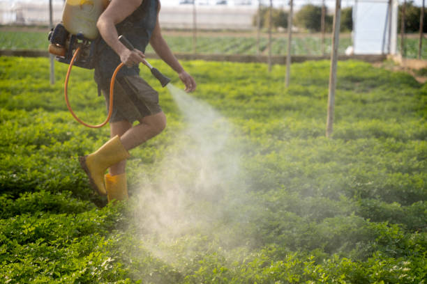 Best Best Pest Control Companies  in New Lisbon, WI