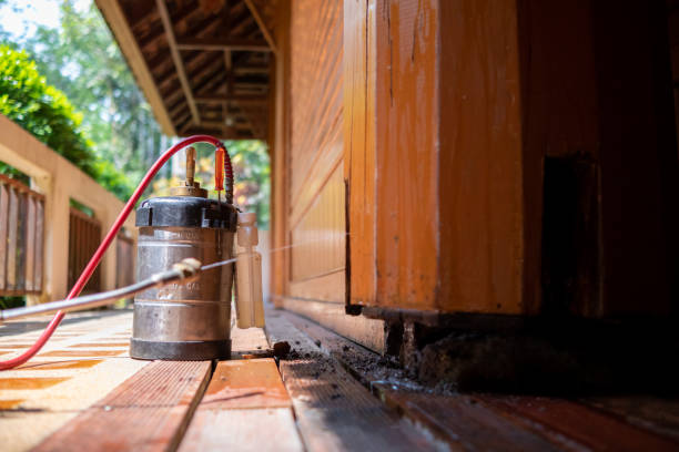 Best Cockroach Control Services  in New Lisbon, WI