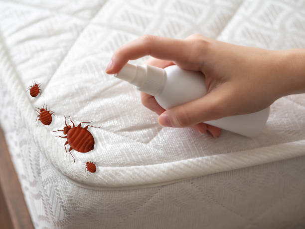 Best Commercial Pest Control Services  in New Lisbon, WI